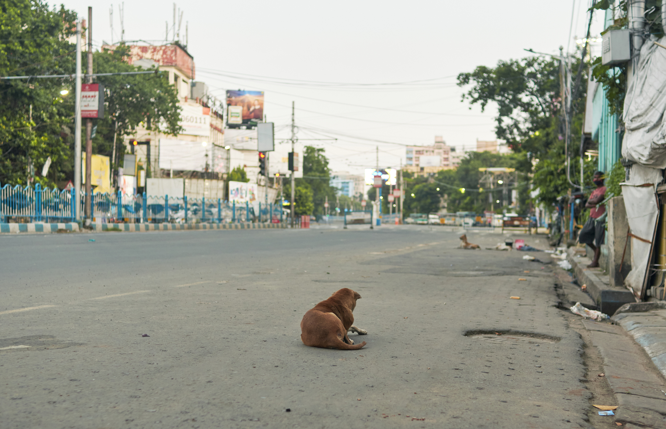 Help us feed them - Animal Welfare Charitable Trust