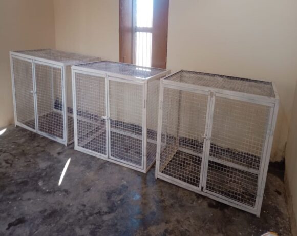 new shelter cages - Animal Welfare Charitable Trust